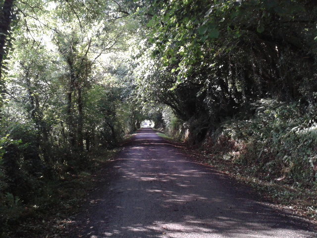 The Camel Trail cycle and walking route
