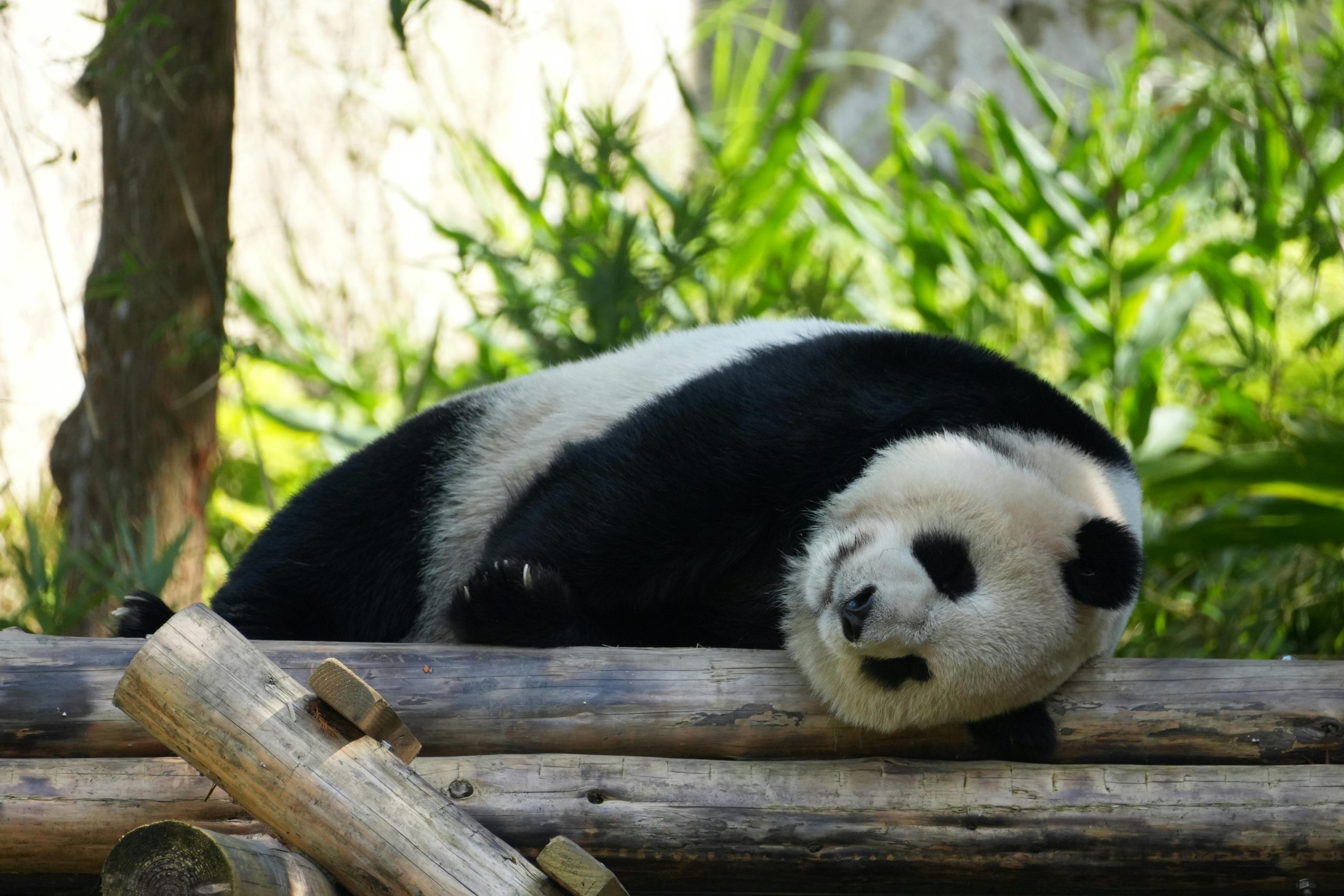 Photo courtesy of pexels.com