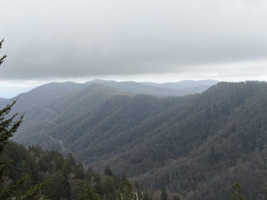 Photo Taken By Jack Kirkham