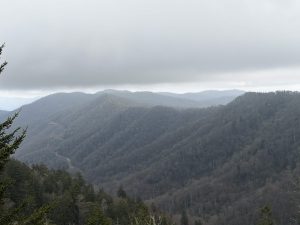 Photo Taken By Jack Kirkham